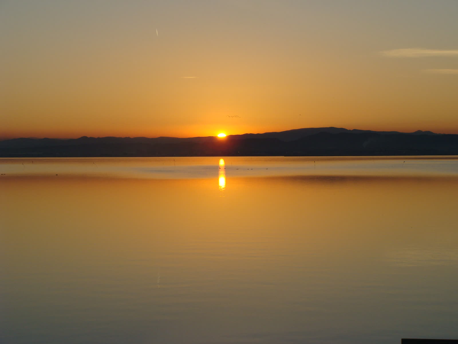 Paseo en barca por la Albufera al atardecer