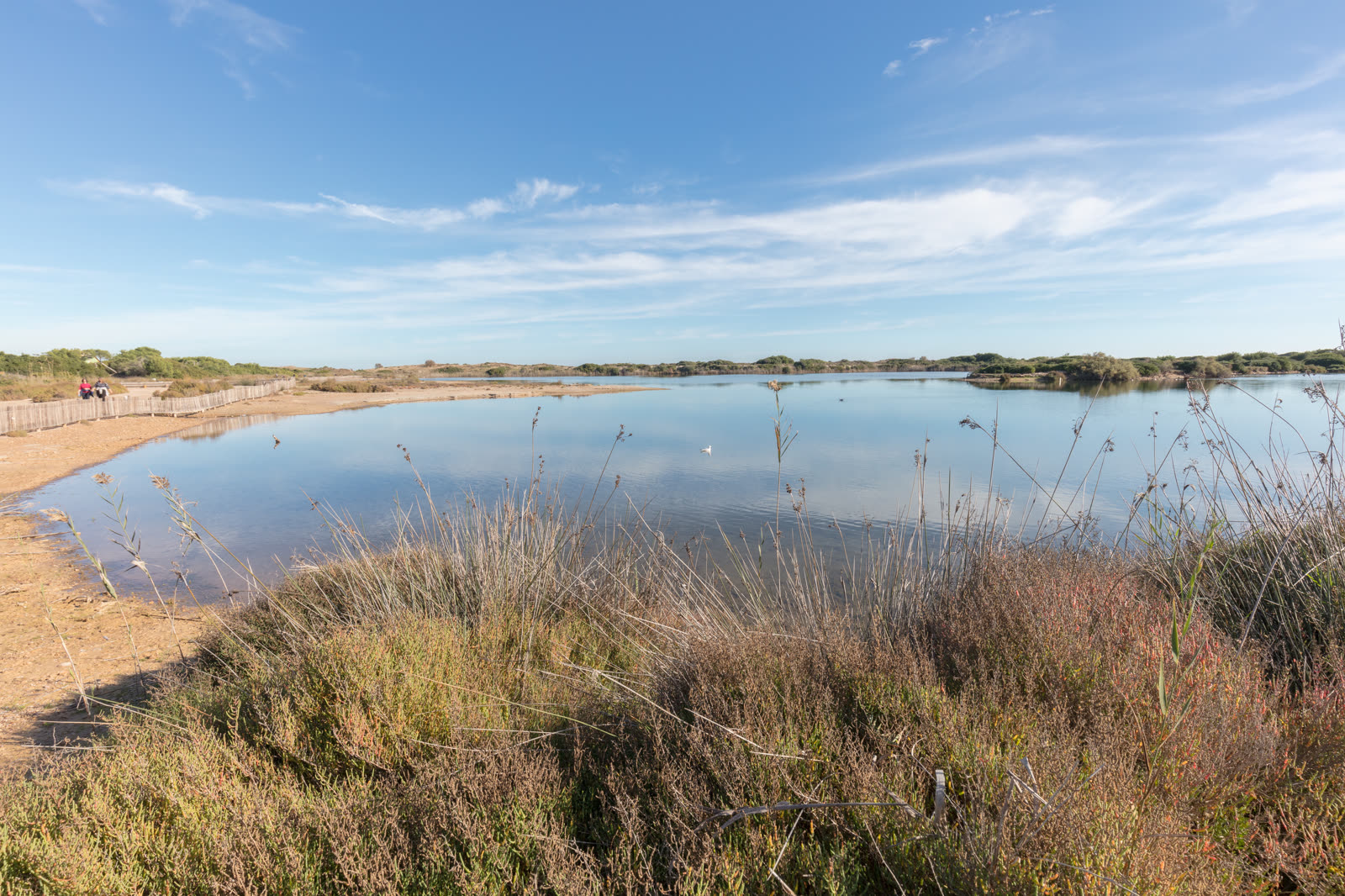 Excursión a la Albufera desde Valencia
