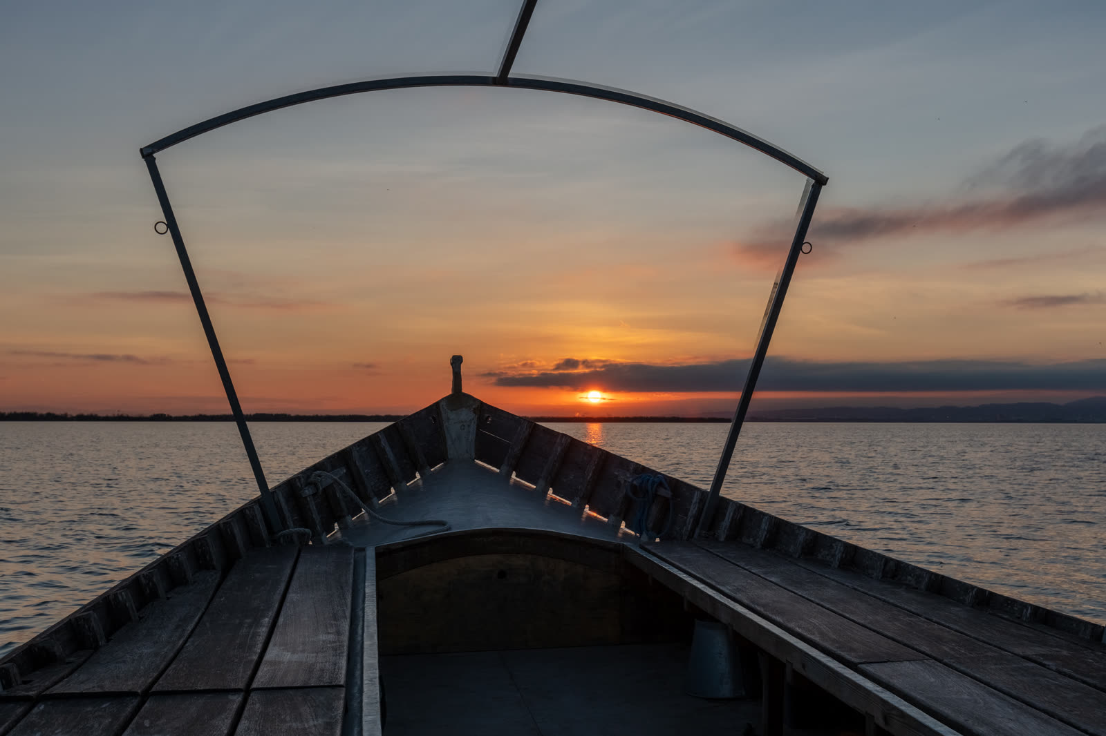 Paseo en barca por la Albufera